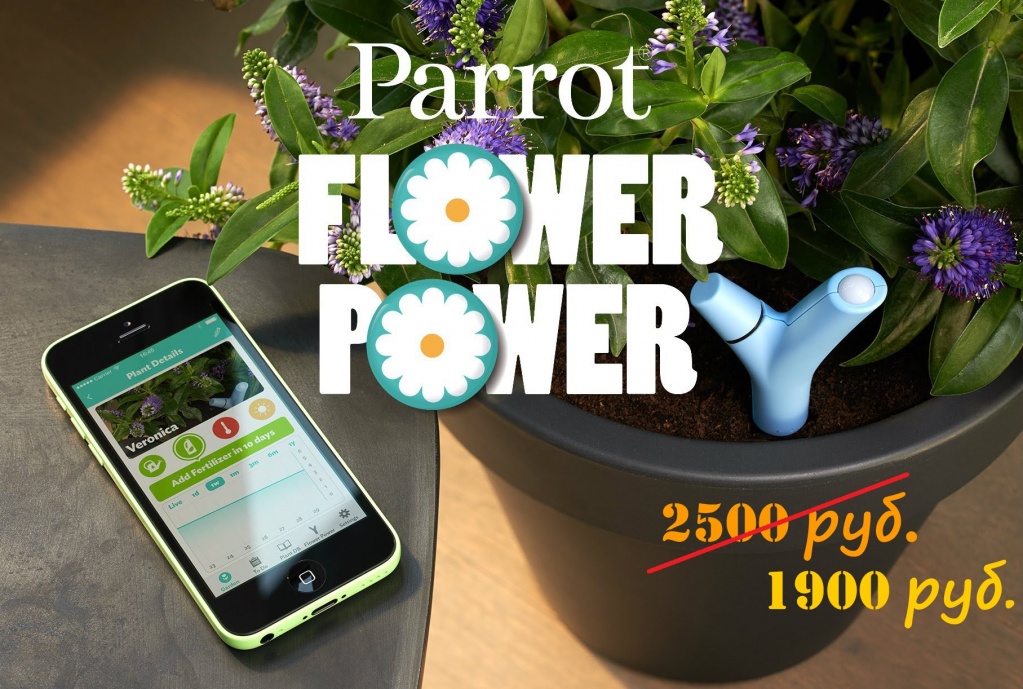 parrot_flower_power.jpg